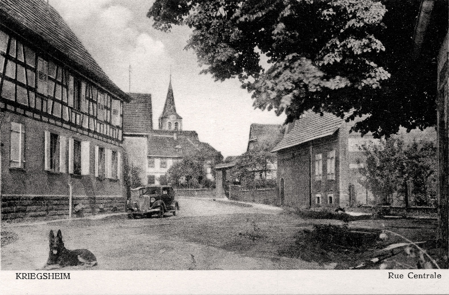 Carte postale